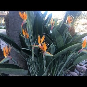 Purchasing used Pakistani clothing to donate